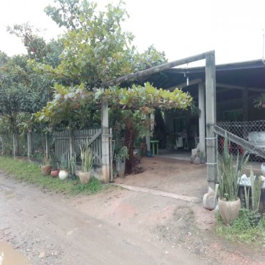 Sitio a venda Camboriú/SC Sitio a venda Camboriú/SC